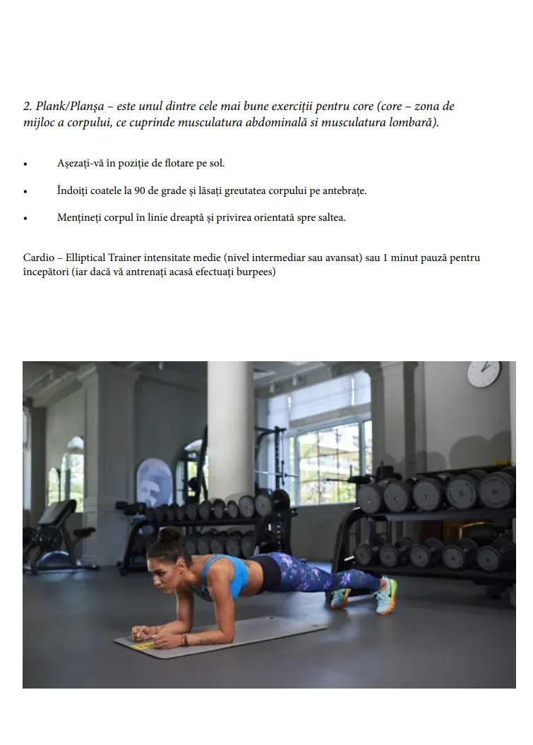Plank / Plansa