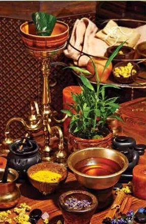 Ingrediente necesare pentru Masajul Ayurvedic 