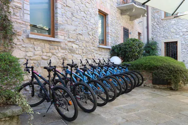 Biciclete Ti Sana