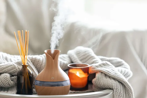 Ghidul de Parfumare a Casei - infuzor si bete aromate pentru camera